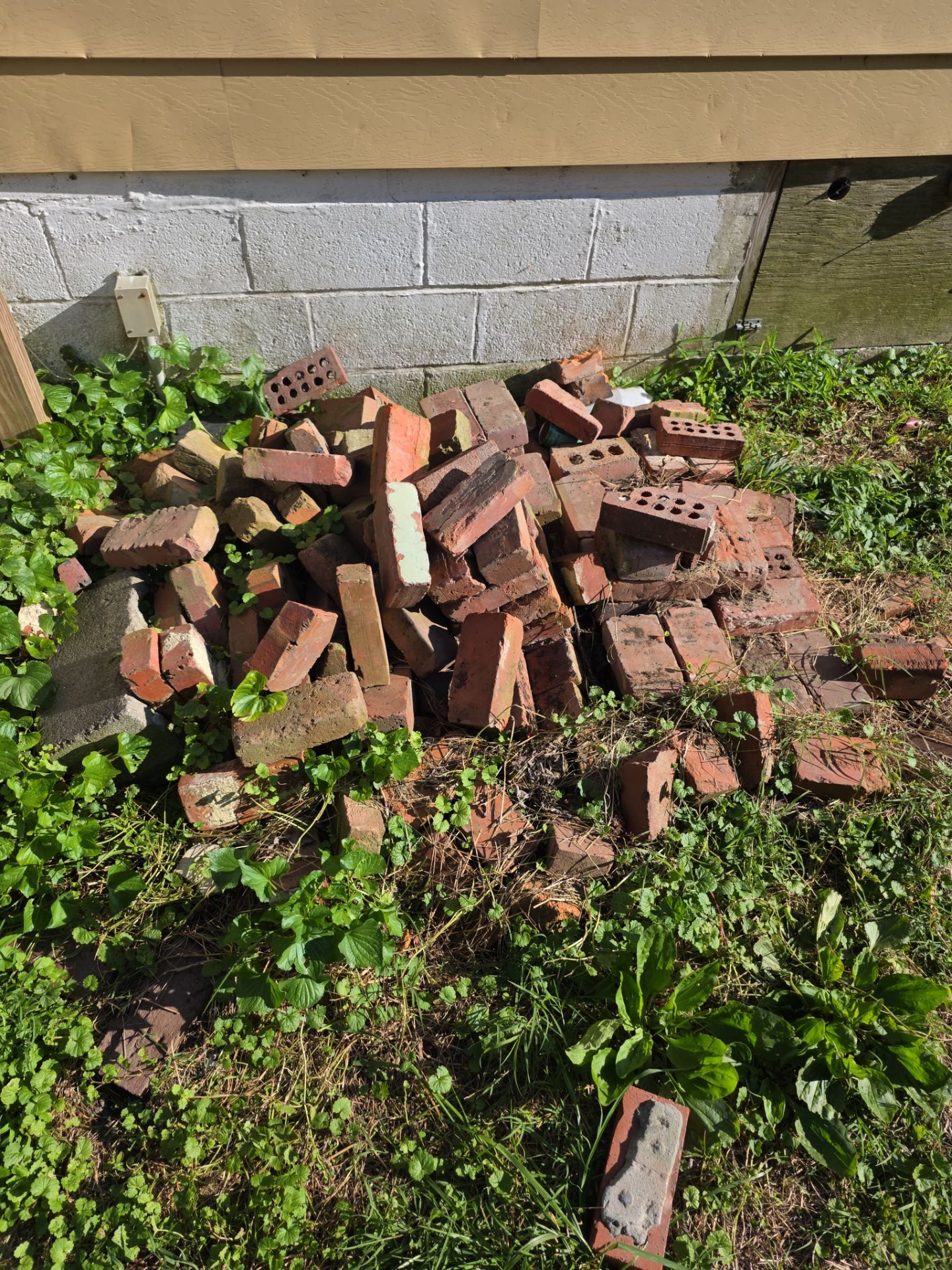 Free bricks
