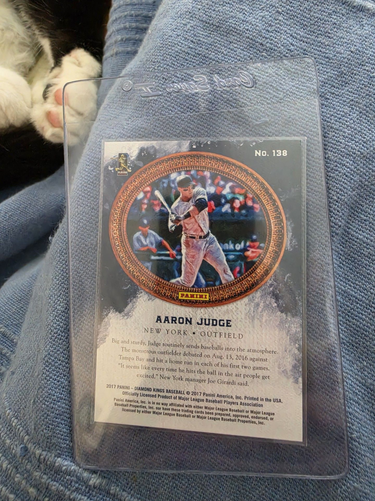 2017 Diamond Kings JUDGE Gray Framed RC