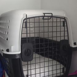Large  Animal  Crate  3 Available 