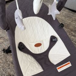 Baby Bouncer