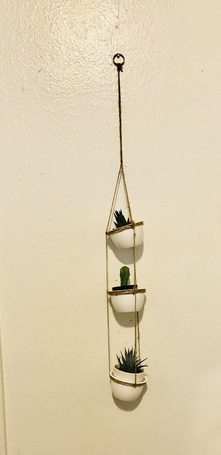 HAnging planter for 3 small succulents, made of plastic & rope. NEW!