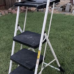 Ladder/Step Stools 