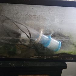 20 Gal Tank , With Protien Skimmer , Heater ,water Filter  Water Fan , Coral Rock , Sand 