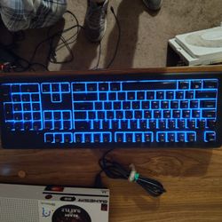 Steelseries Apex 100 Keyboard 