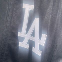 World Series Celebration Tickets 