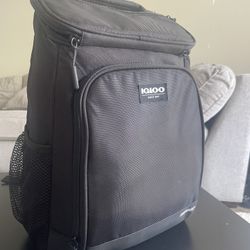 Igloo Backpack Coolers Maxcold 24 Cans 