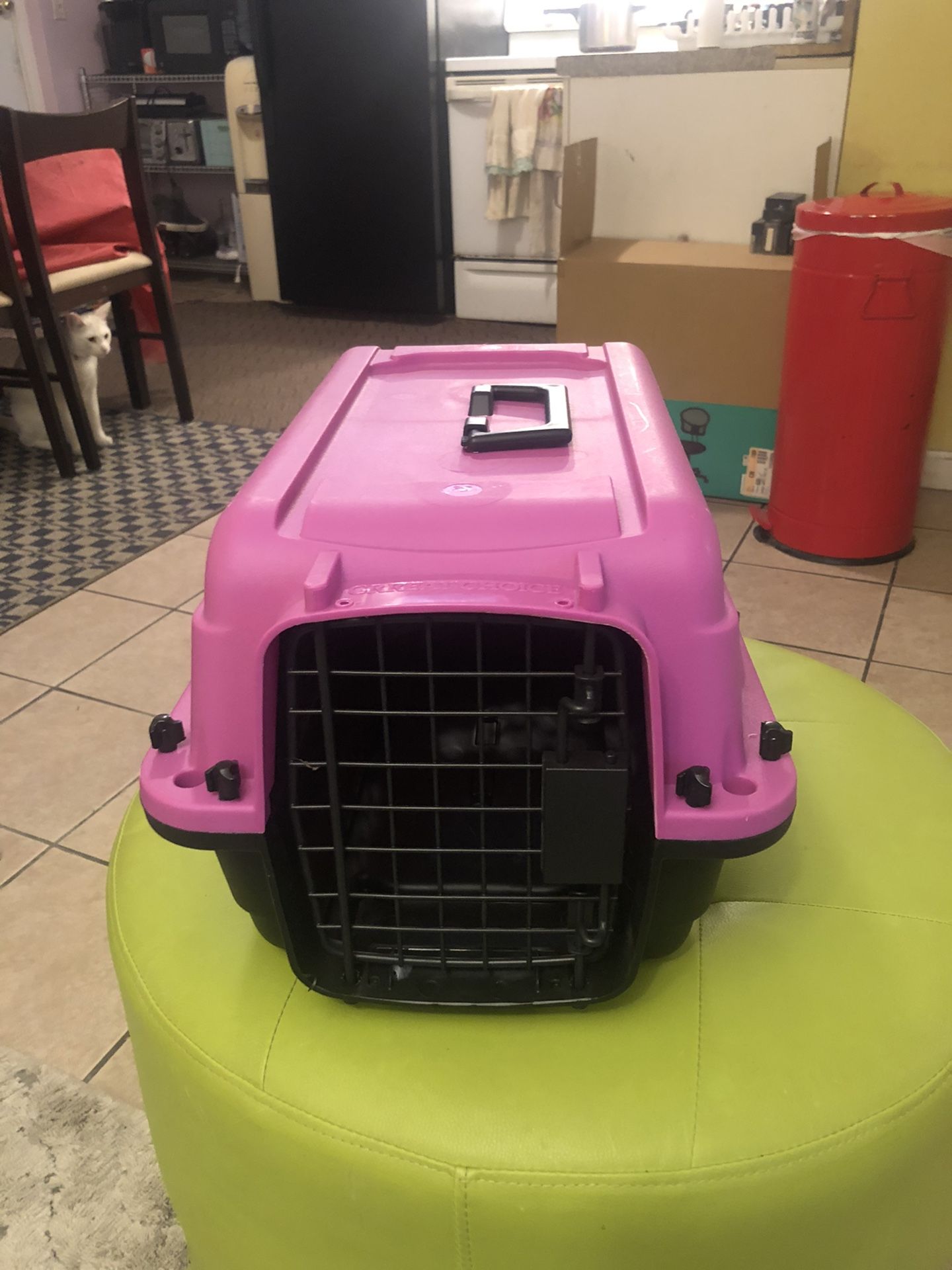 Pet Carrier New