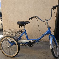 Adult Tricycle Foldable