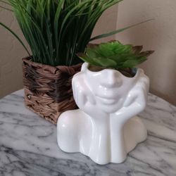 Ceramic Pot With Artificial Succulent, Fun Decor