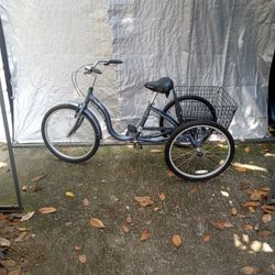 Schwinn: Meridian 3 Wheeler Bicycle.
