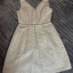 Ivory And Silver Silk Dress By Soloiste Size Large NWOT