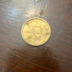 Sacagawea Rare 2001 Coin