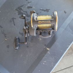 Daiwa Reel