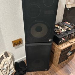 Linear Dynamics Speakers With 3 Speakers In each Cabinet 
