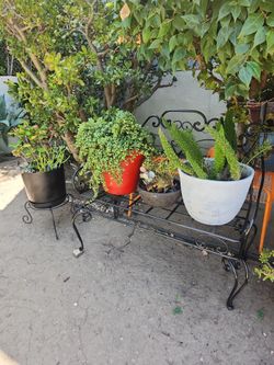 Sale sale starts today!!! Everything is for sale!!!!