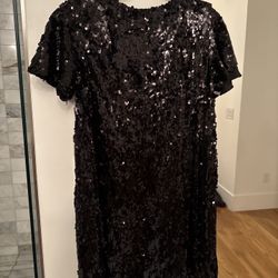Zara Dress New With Tags Never Used 