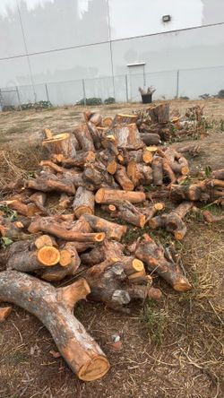 Good firewood