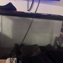 fish tank