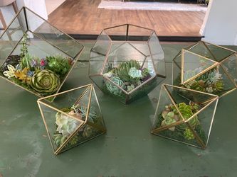 Geometric Glass Terrariums