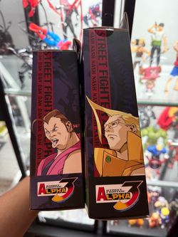Storm Arena Dan and Nash Street Fighter