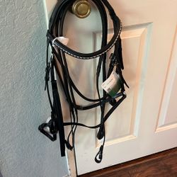 Black Red Barn Figure Eight Bridle 