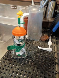Starbucks Halloween Pumpkin Glass Cup