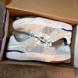 Nike SB Ishod 1 - “White Summit” Sz 9
