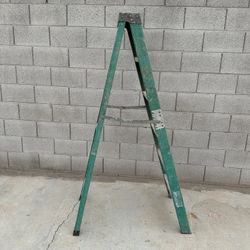 6 Foot Ladder