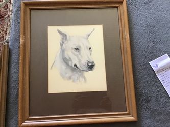Framed vintage portrait of a white English Bull Terrier Appox 17x 20
