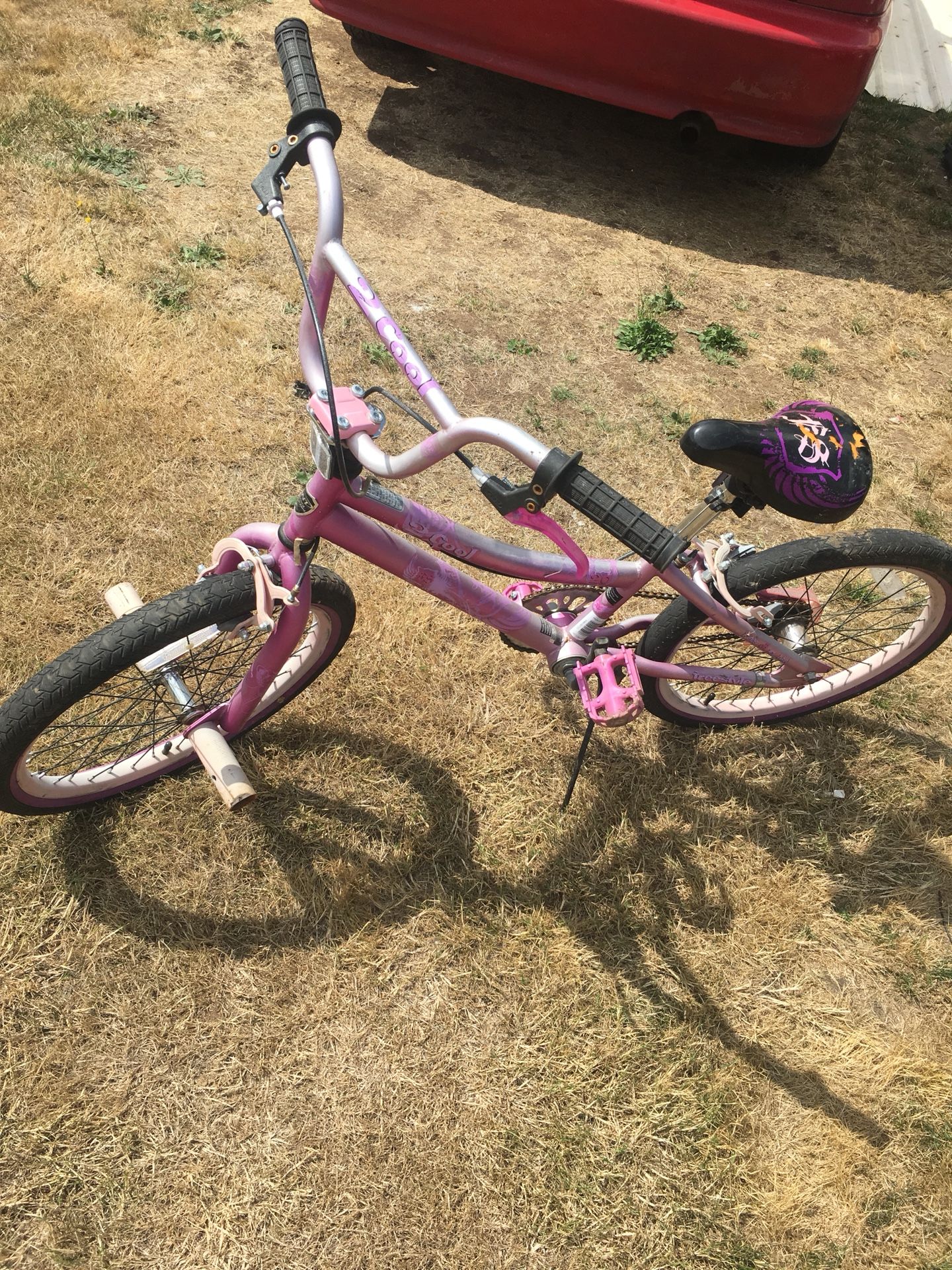 20” Girls Bike