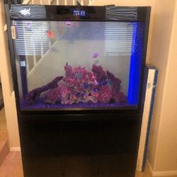 Large Full-Sized Fish Tank – A Beautiful Centerpiece for Your Home technology close