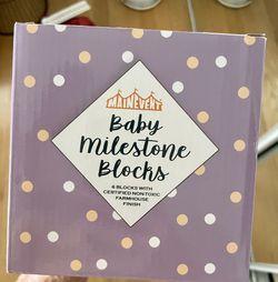 Baby Milestone Blocks