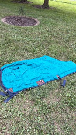 Quilted teal horse blanket