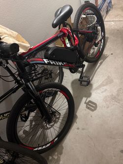 Frike E bike