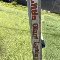 Little Giant Ladder 