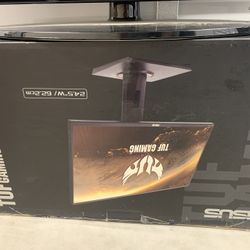 Asus New Monitor 