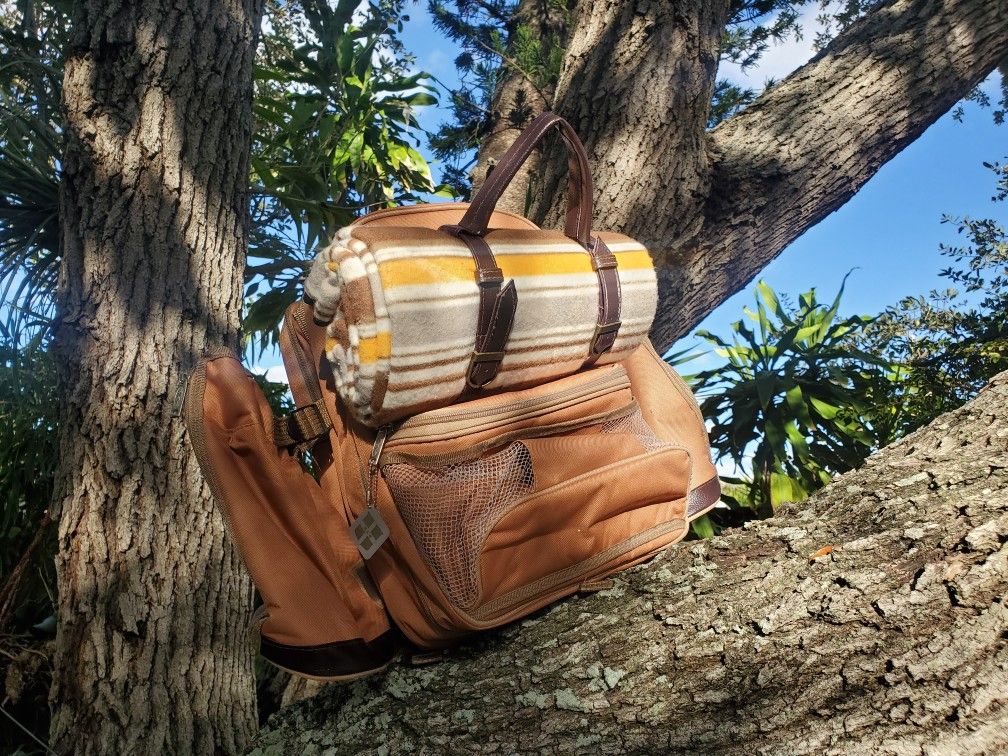 Brand New Picnic Plus Tandoor 4 Person Deluxe Picnic Backpack