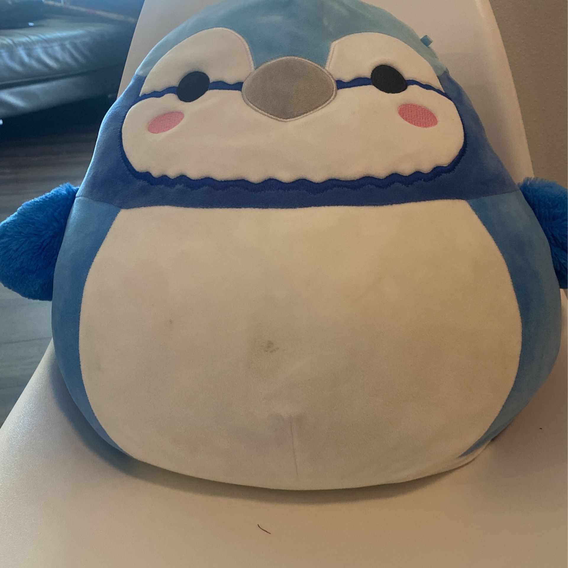 Blue Penguin Squishmallow