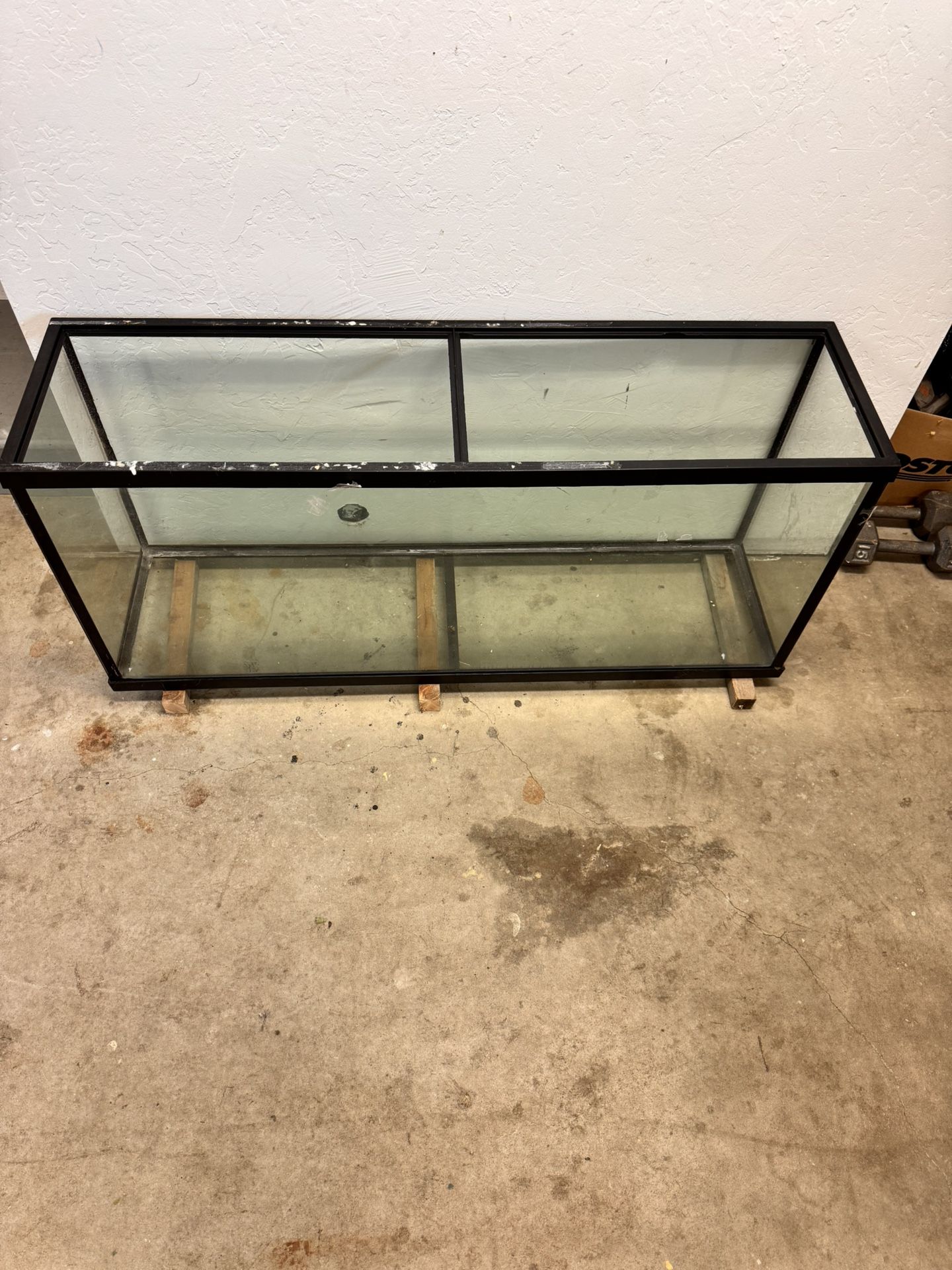Fish Tank