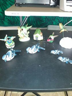 Beautiful bird collection