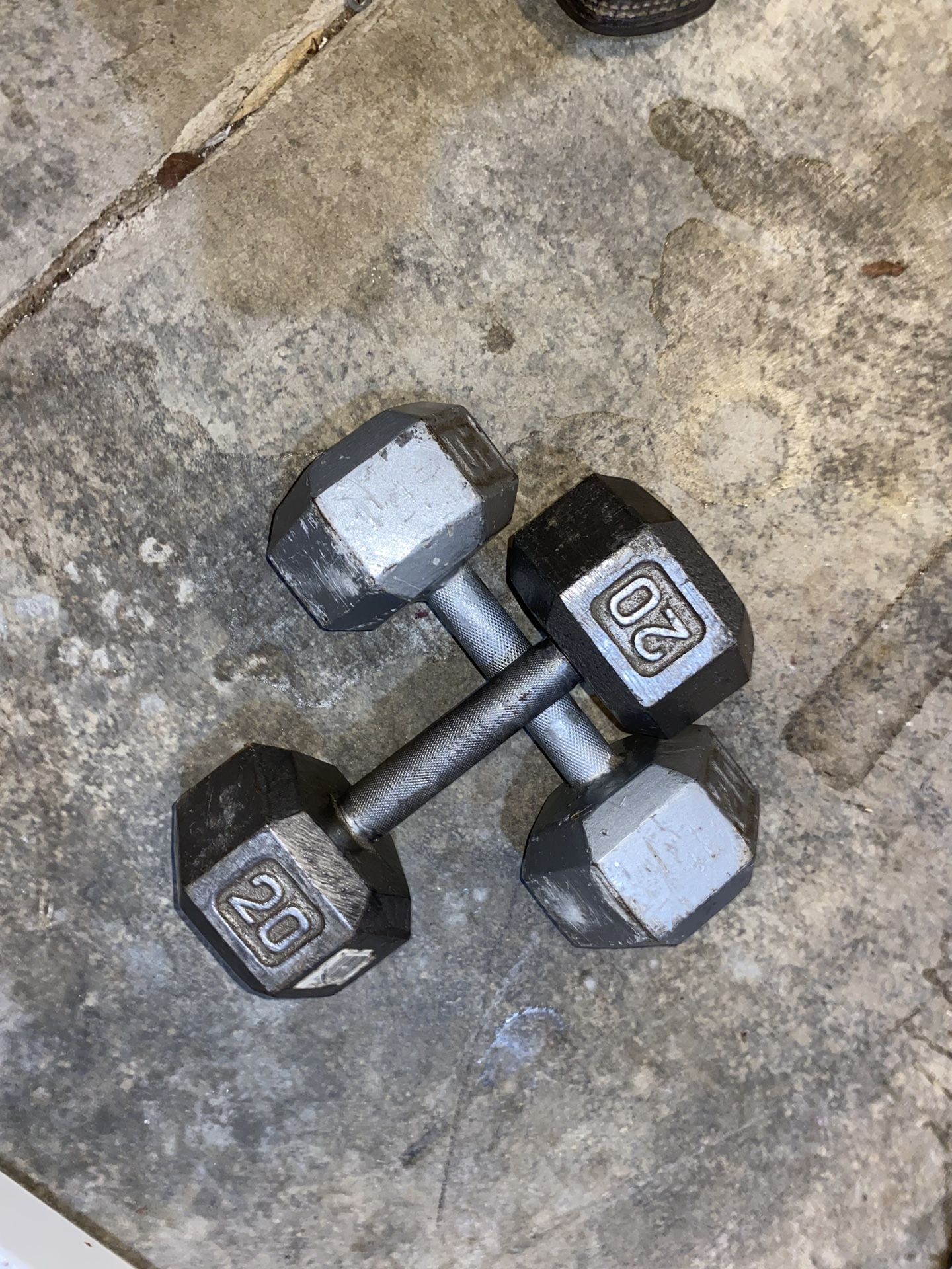 20 Pound Dumbbells