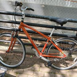 Jamis Bike Cruiser 