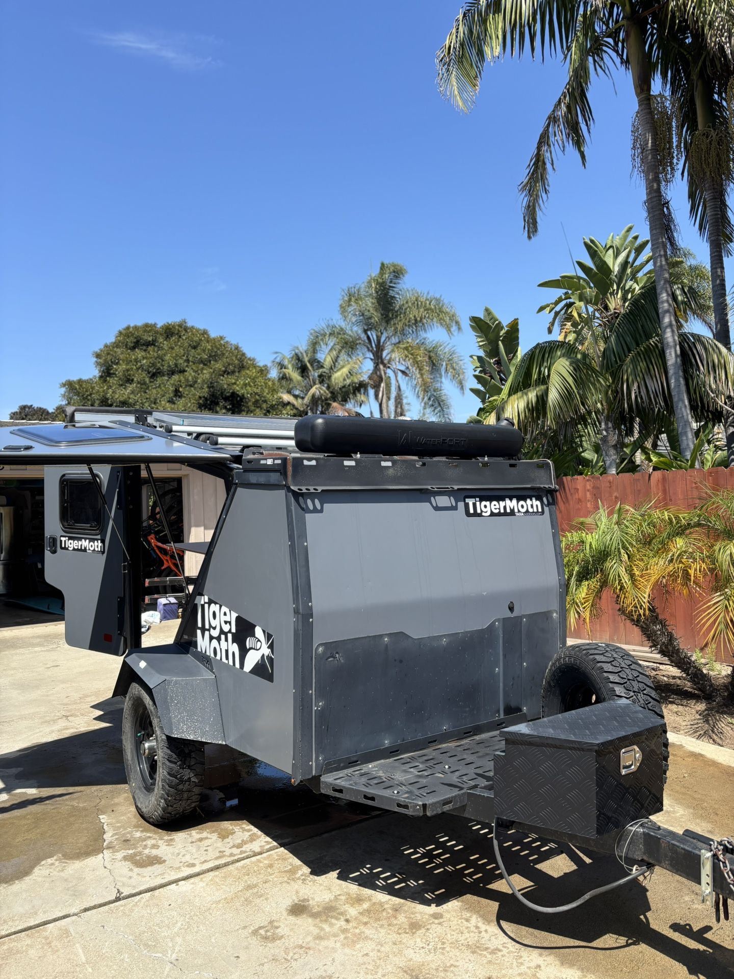 2019 Taxa Tiger moth