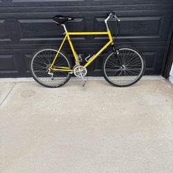 Men’s 18 Speed Vintage Bike 
