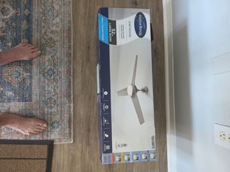 CEILING FAN