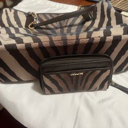 Coach Madison Zebra Print East/West Tote Bag and Wallet 