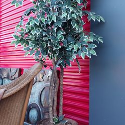 Tall Artificial Ficus Tree in Woven Basket Planter – Indoor Decor