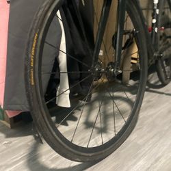 Front Fixie Wheel Gator Skin