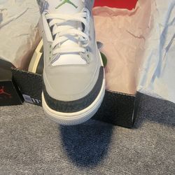 Air Jordan 3 "Chlorophyll " Retro