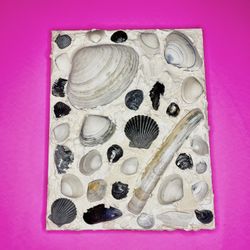Seashell Decoration